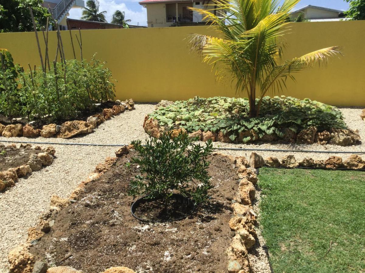 Cc Best Villas Tobago Lowlands المظهر الخارجي الصورة