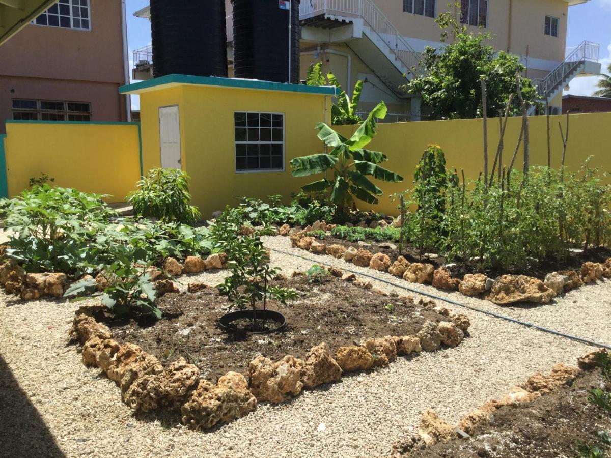 Cc Best Villas Tobago Lowlands المظهر الخارجي الصورة